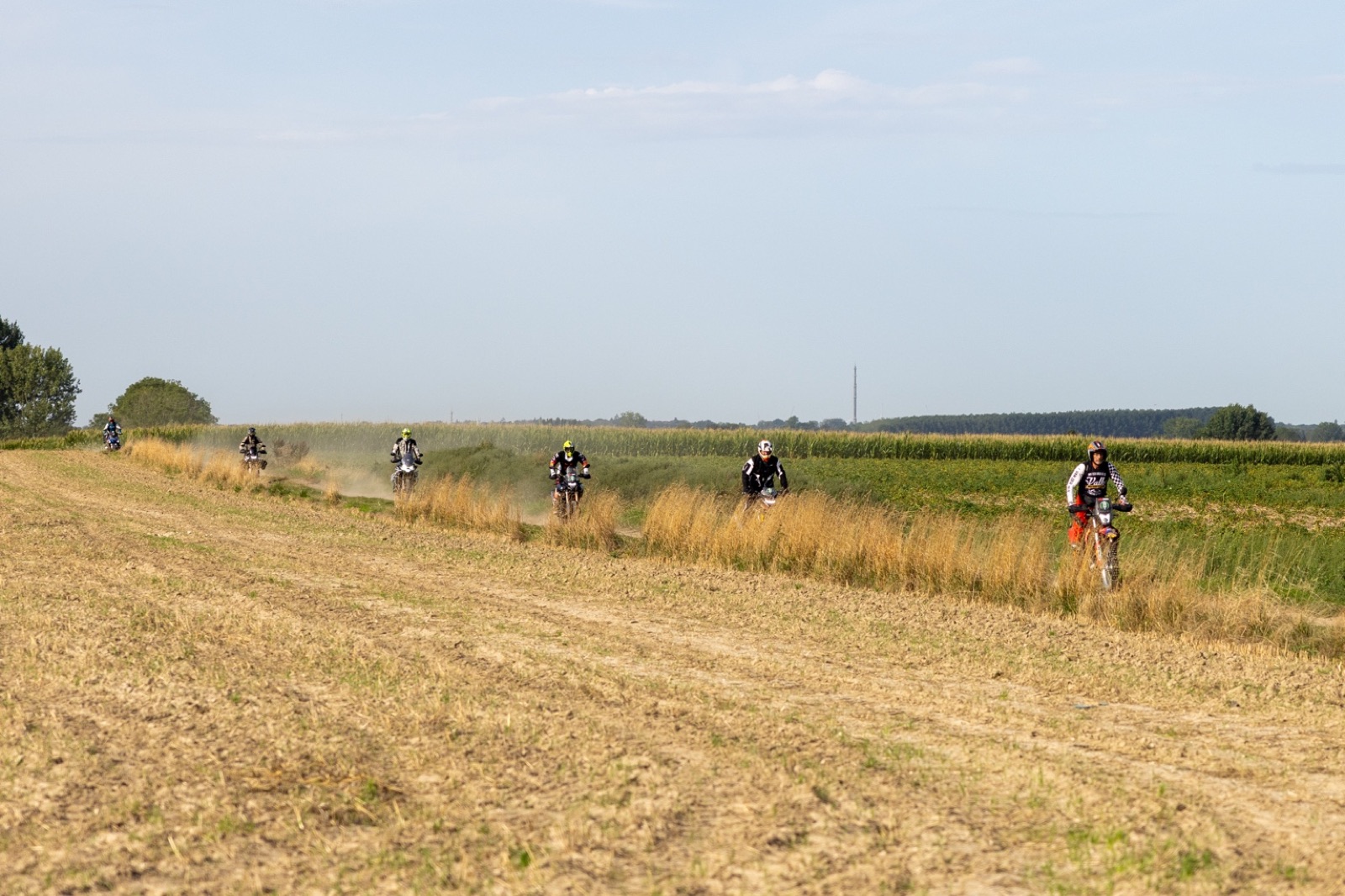 Sur les chemins