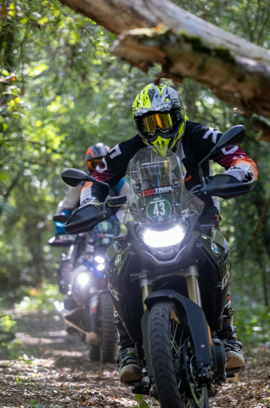 Des motards sous les branches